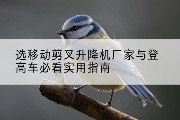 弋阳电动升降机厂家-选移动剪叉升降机厂家与登高车必看实用指南
