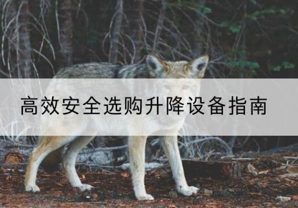 弋阳升降货梯厂家推荐-*安全选购升降设备指南